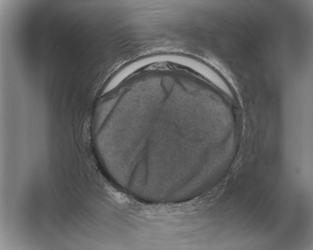 X0000065960009200603311824
