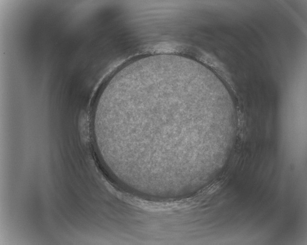 X0000065960012200603311824