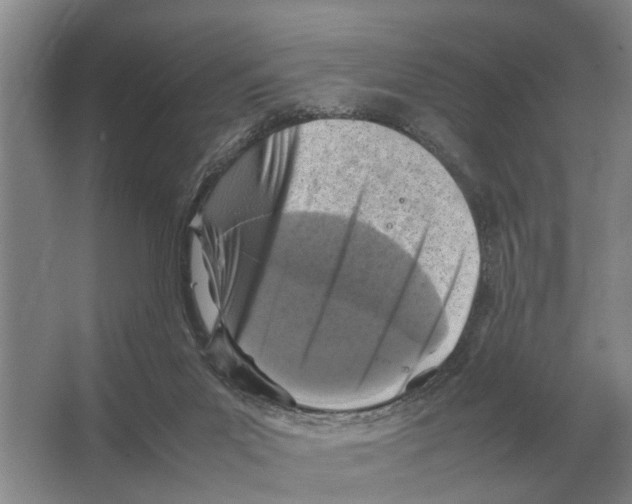 X0000065960023200603311824