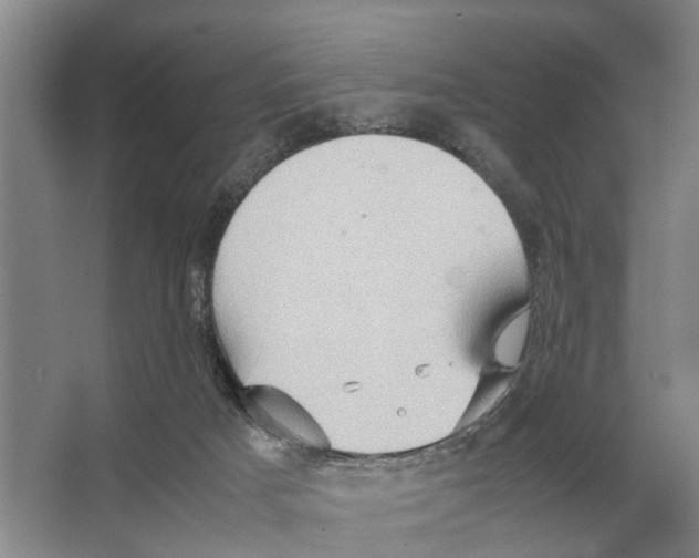 X0000065960025200603311824