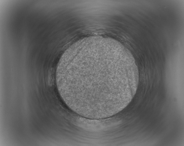 X0000065960030200603311823