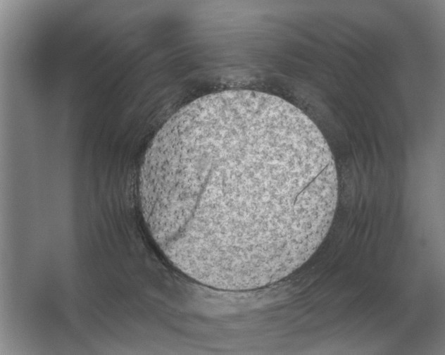 X0000065960034200603311823