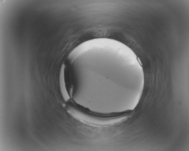 X0000065960035200603311823