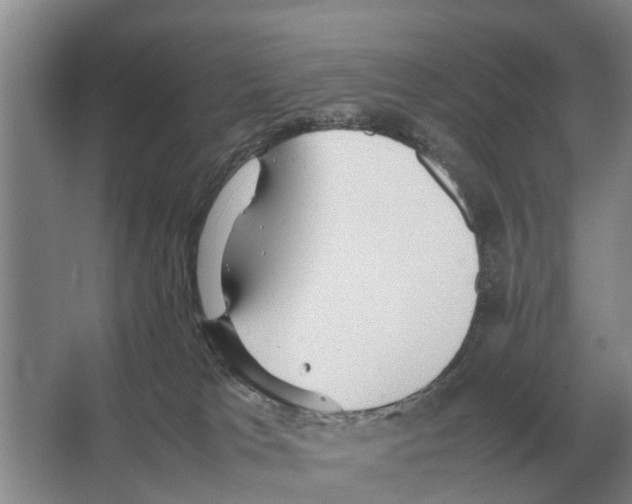 X0000065960037200603311823
