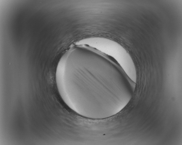 X0000065960039200603311823