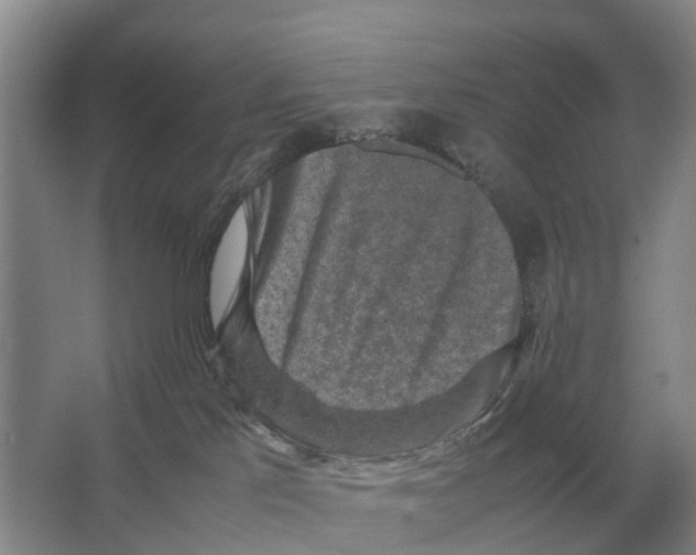 X0000065960041200603311823