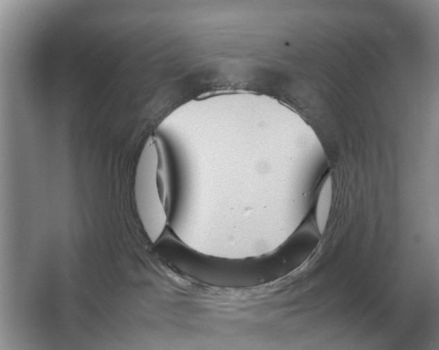 X0000065960045200603311823