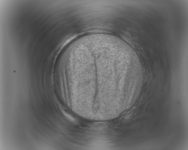 X0000065960050200603311822