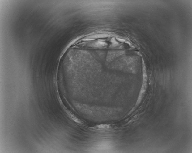 X0000065960052200603311822