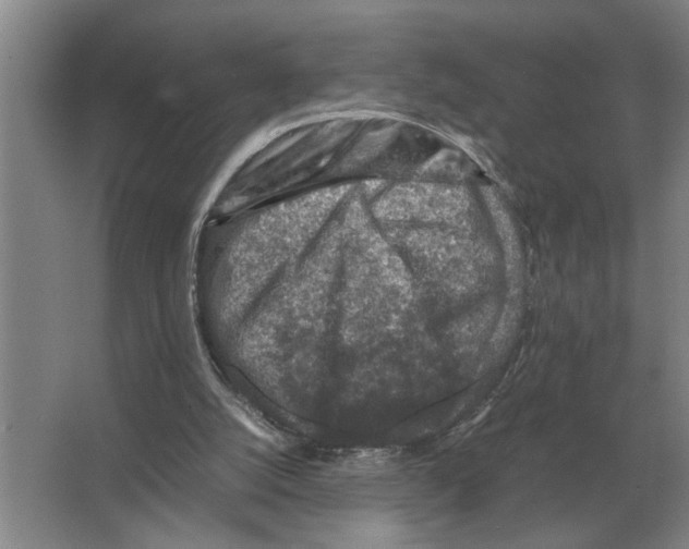 X0000065960056200603311822