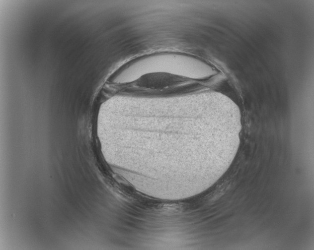 X0000065960060200603311823