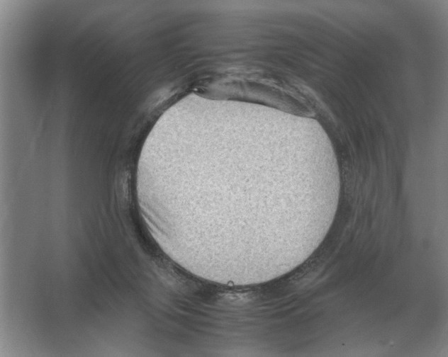 X0000065960071200603311823
