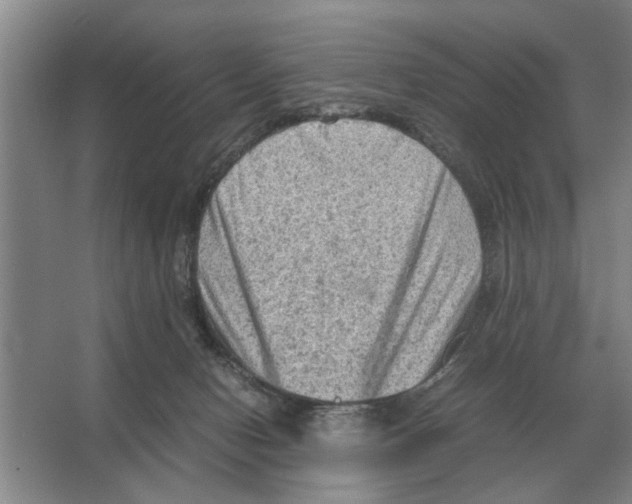 X0000065960078200603311823