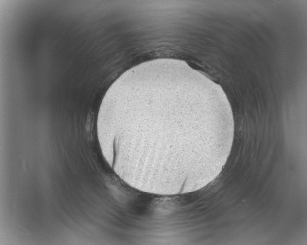 X0000065960082200603311823