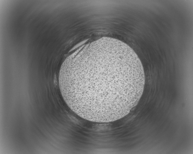 X0000065960089200603311823