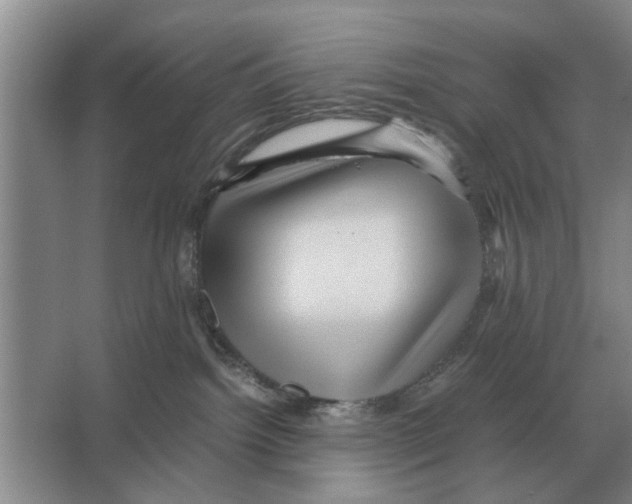 X0000065960092200603311823