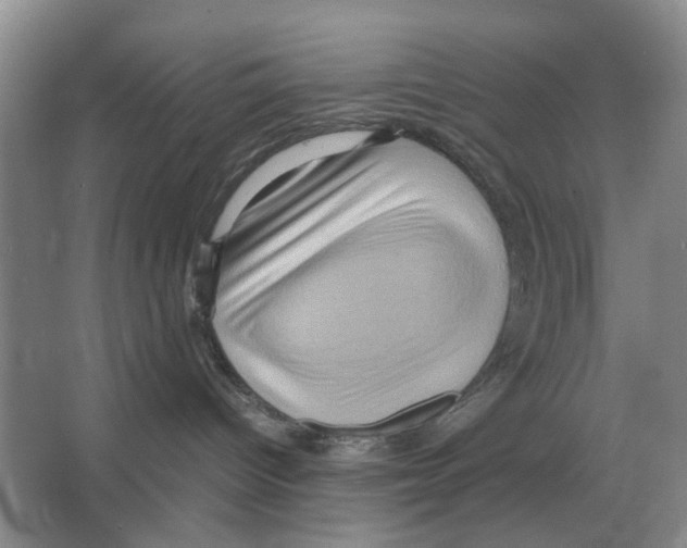 X0000065960096200603311823
