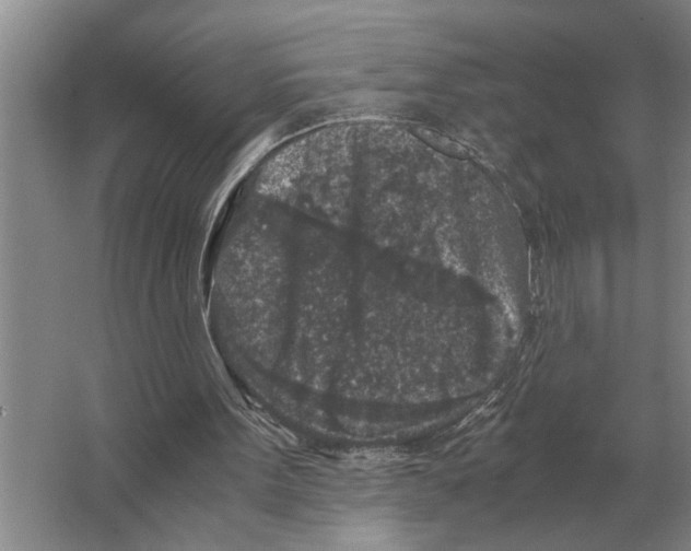 X0000065960099200603311822