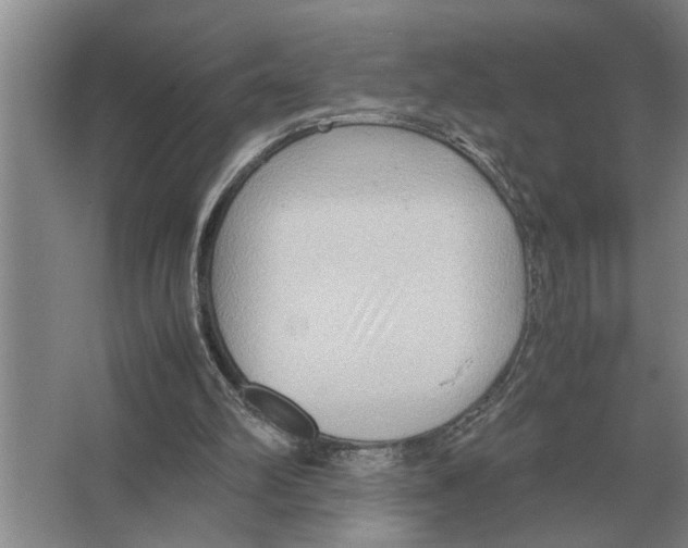X0000065960102200603311822