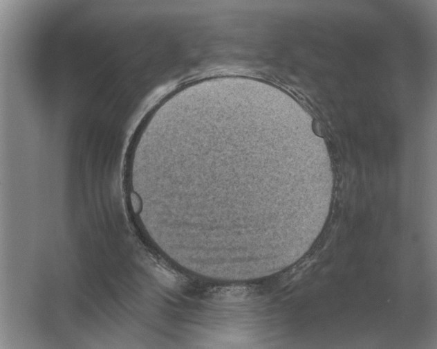 X0000065960104200603311822