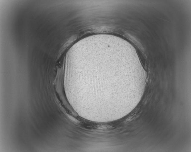 X0000065960105200603311822