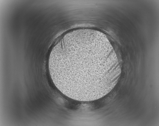 X0000065960111200603311822