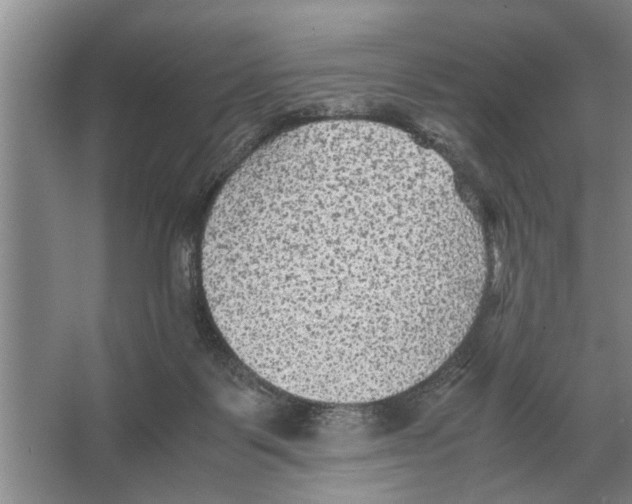 X0000065960123200603311822