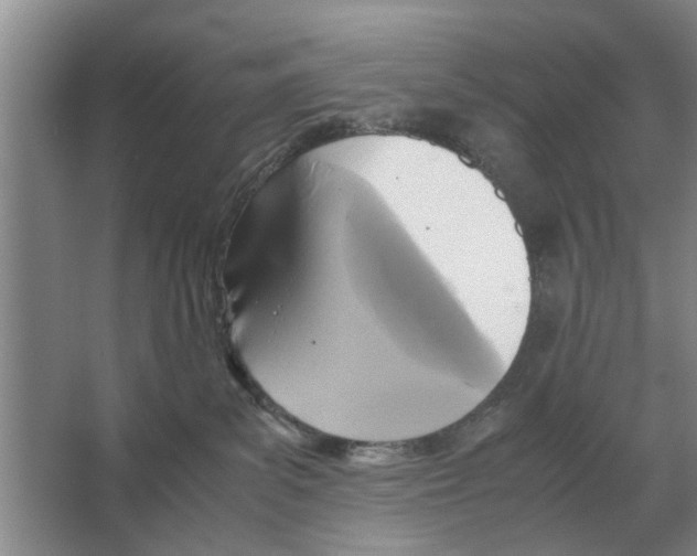 X0000065960139200603311822