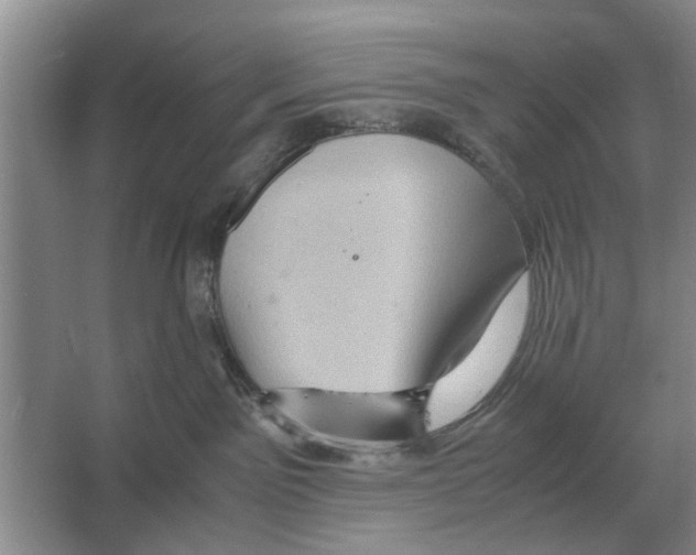 X0000065960141200603311822