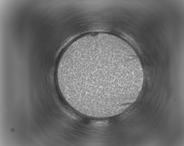 X0000065960155200603311821