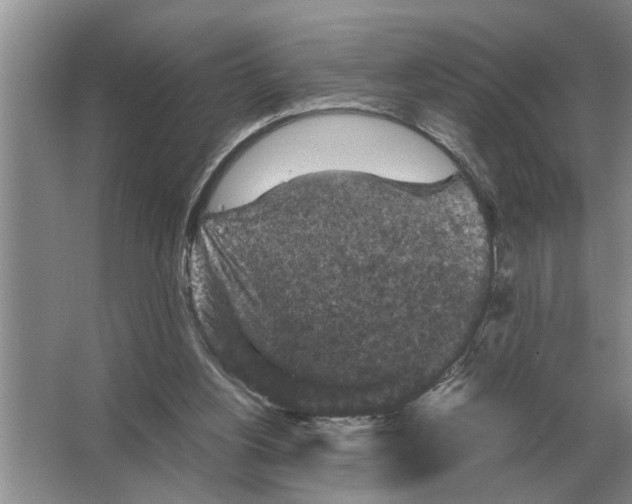 X0000065960156200603311821