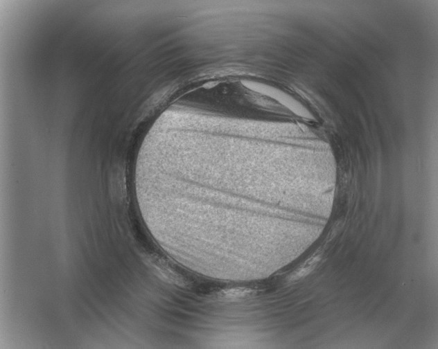 X0000065960158200603311821