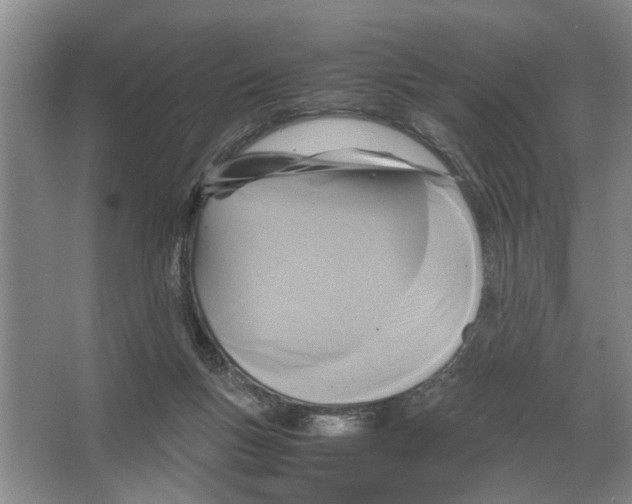 X0000065960167200603311821
