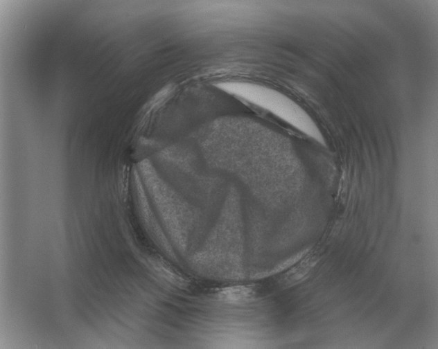 X0000065960168200603311821