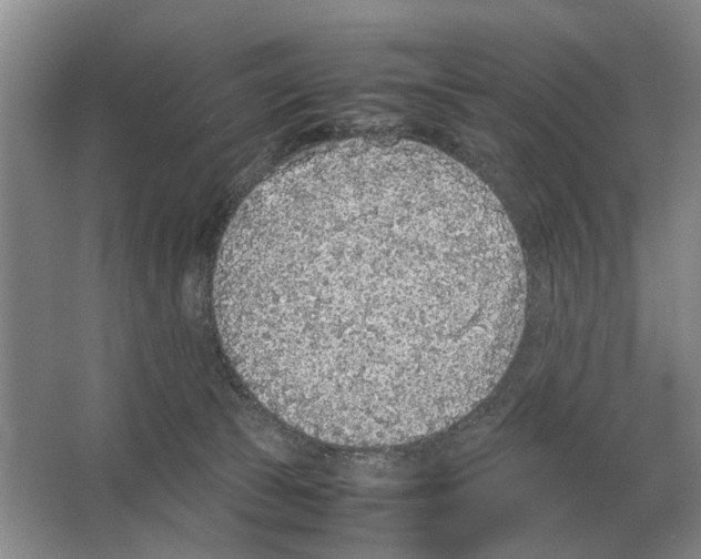 X0000065960177200603311821