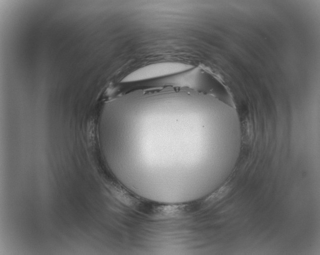 X0000065960184200603311821