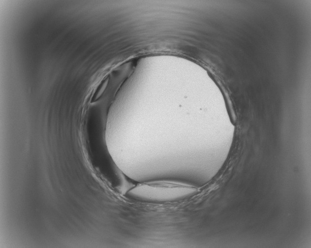 X0000065960193200603311821