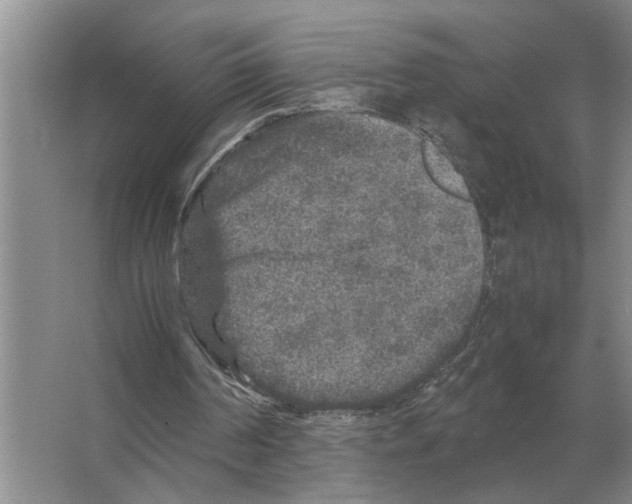 X0000065960194200603311821