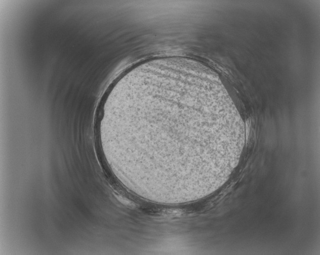 X0000065960195200603311821