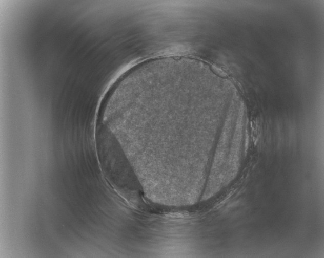 X0000065960196200603311821