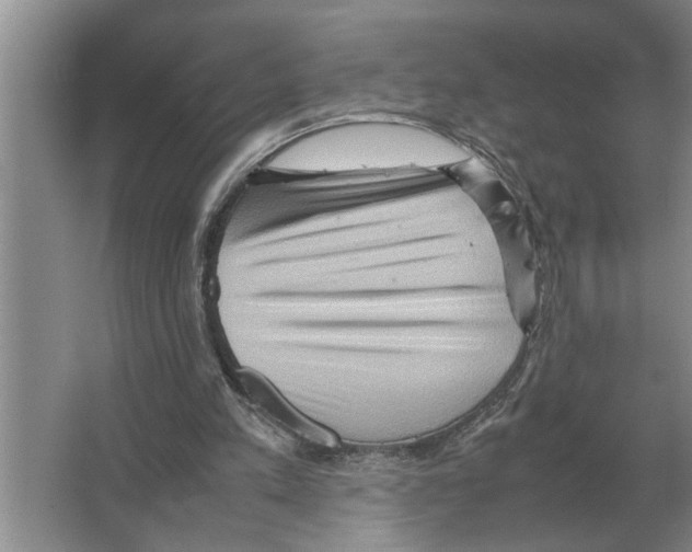 X0000065960197200603311821