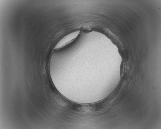 X0000065960209200603311820