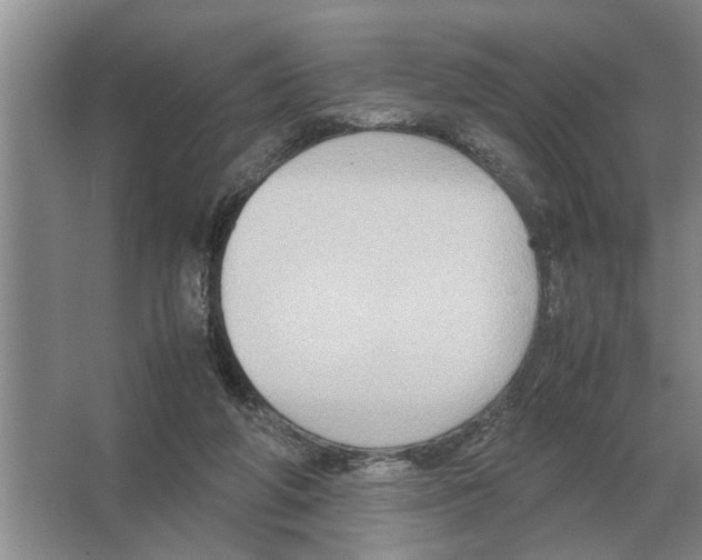 X0000065960210200603311820