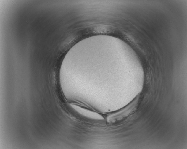 X0000065960211200603311820