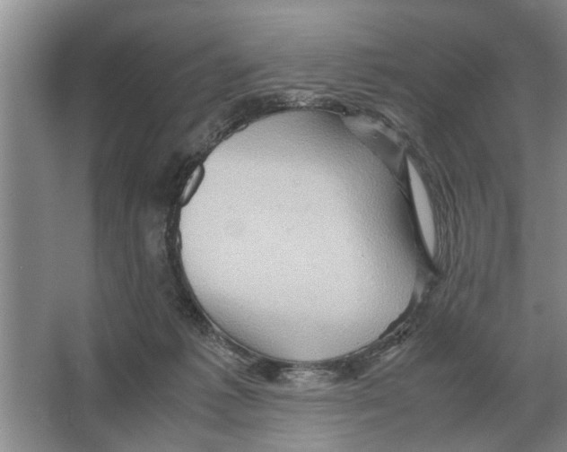 X0000065960221200603311820