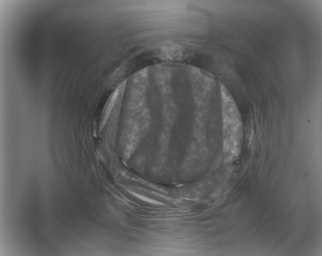 X0000065960233200603311820