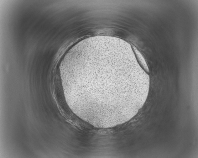 X0000065960241200603311819
