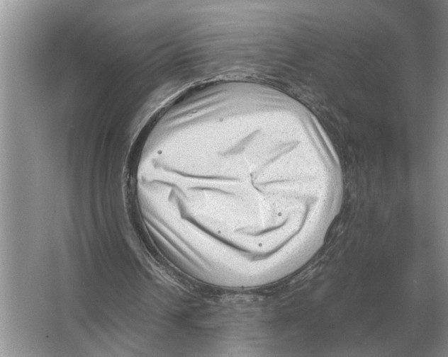 X0000065960242200603311819