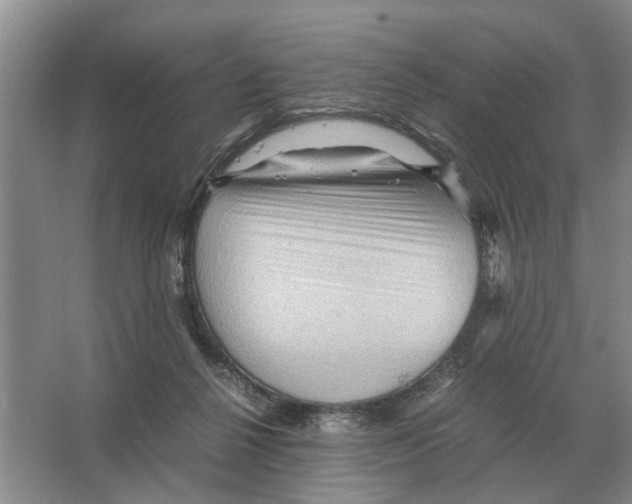 X0000065960264200603311819