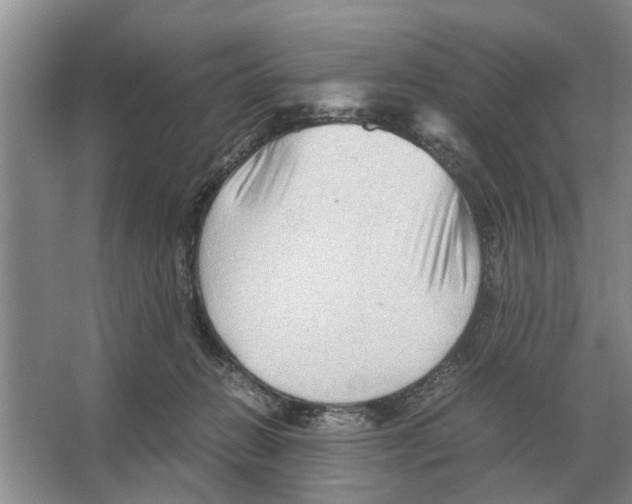 X0000065960270200603311820